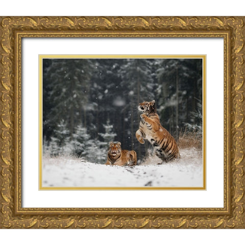 It Is Snowing Gold Ornate Wood Framed Art Print with Double Matting by Firesova, Michaela