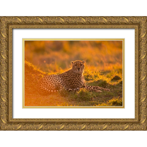 Into the golden light Gold Ornate Wood Framed Art Print with Double Matting by Pozzi, Marco