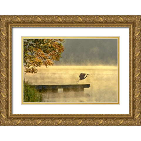 Morning flight Gold Ornate Wood Framed Art Print with Double Matting by Zhang, Eric