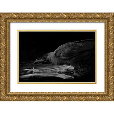 Water Gold Ornate Wood Framed Art Print with Double Matting by Zaeitar, Ahmed