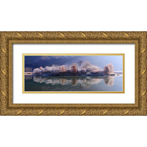 Ice Island Gold Ornate Wood Framed Art Print with Double Matting by Seo, Tiger