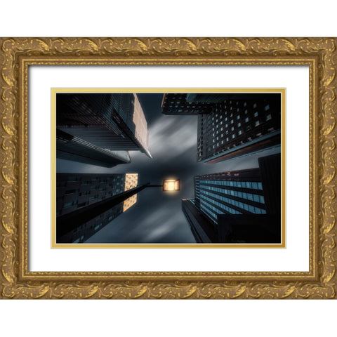 Hibiya II Gold Ornate Wood Framed Art Print with Double Matting by T, Amatou