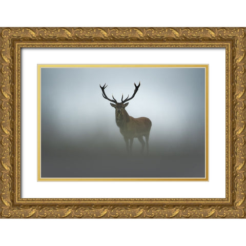 Ephemerality Gold Ornate Wood Framed Art Print with Double Matting by Rudchenko, Olga