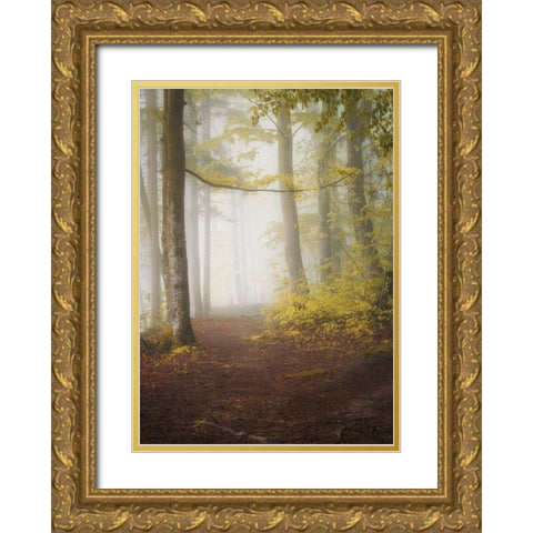 Lets go for a walk Gold Ornate Wood Framed Art Print with Double Matting by Maier, Norbert