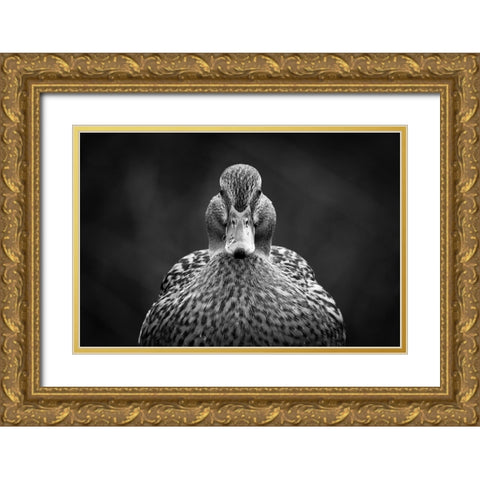 Look at me Gold Ornate Wood Framed Art Print with Double Matting by Pfeiffer, Peter
