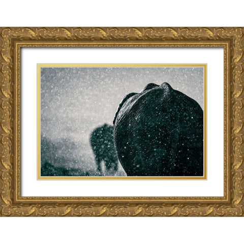 Rainy Season Gold Ornate Wood Framed Art Print with Double Matting by Taylor, Mike