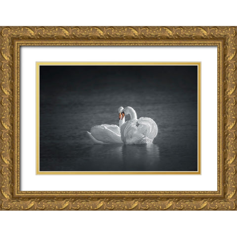 Public Display of Affection Gold Ornate Wood Framed Art Print with Double Matting by Hu, Mei