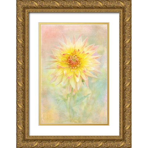 Lemon Spritz Gold Ornate Wood Framed Art Print with Double Matting by Parker, Jacky