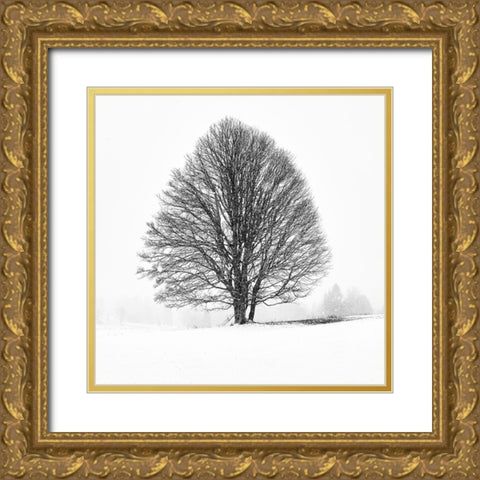 LONELY TREE Gold Ornate Wood Framed Art Print with Double Matting by Froyda, Martin