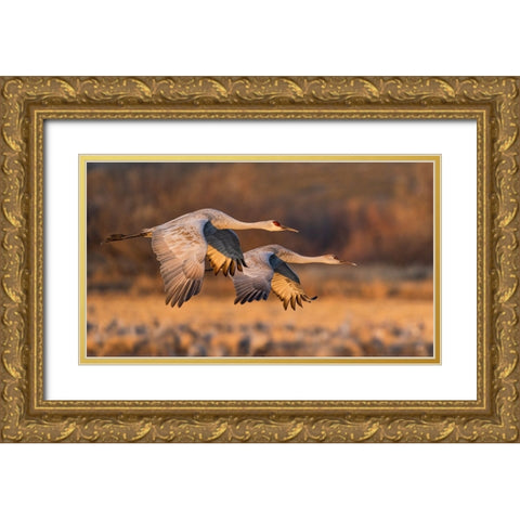 Love Birds Gold Ornate Wood Framed Art Print with Double Matting by Fan, John