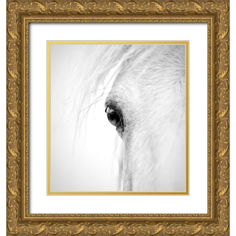 Hose eye Gold Ornate Wood Framed Art Print with Double Matting by Zhao, Alex