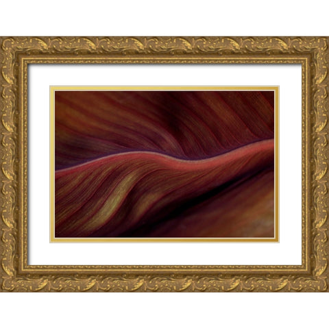 The Red Desert Dunes Gold Ornate Wood Framed Art Print with Double Matting by Wechsler, Robin