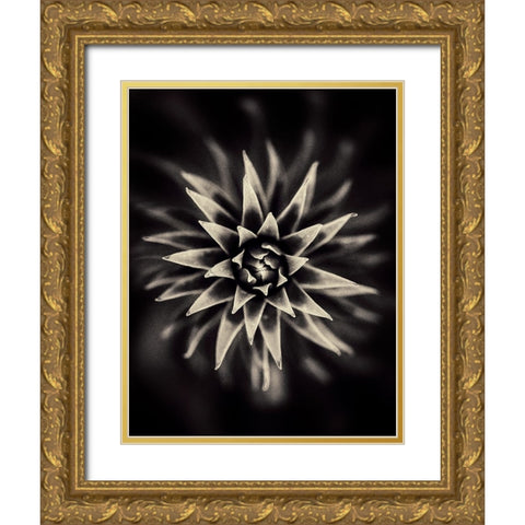 Star. Gold Ornate Wood Framed Art Print with Double Matting by Salem, Saad