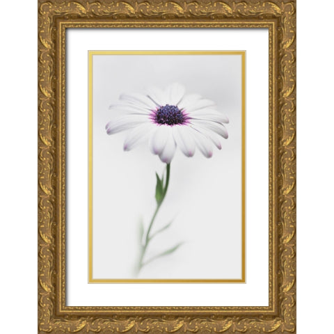 In My Garden_3 Gold Ornate Wood Framed Art Print with Double Matting by Grambone, Antonio
