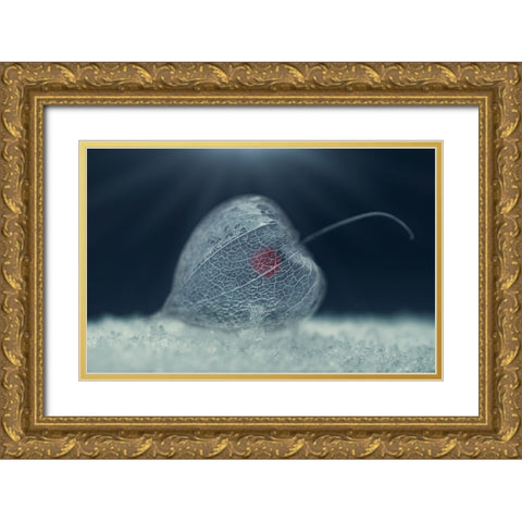 ... Gold Ornate Wood Framed Art Print with Double Matting by Georgieva V, Nikki