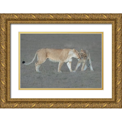 I love you, Mom! Gold Ornate Wood Framed Art Print with Double Matting by Xu, Sheila