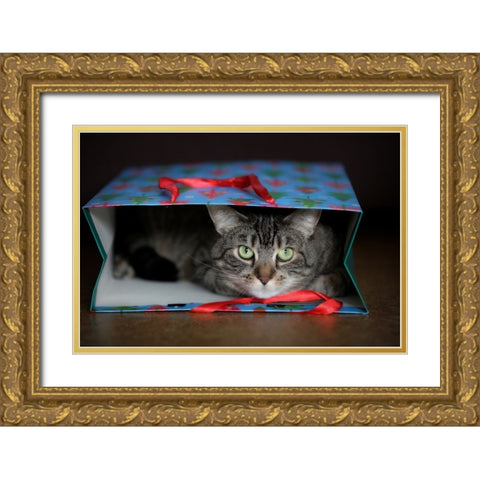 My Greatest Gift! Gold Ornate Wood Framed Art Print with Double Matting by Wenner-Braun, Antje