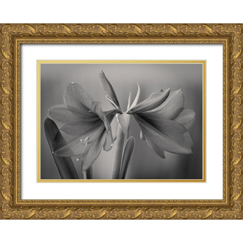 Elegance Gold Ornate Wood Framed Art Print with Double Matting by Rauwerdink, Jan