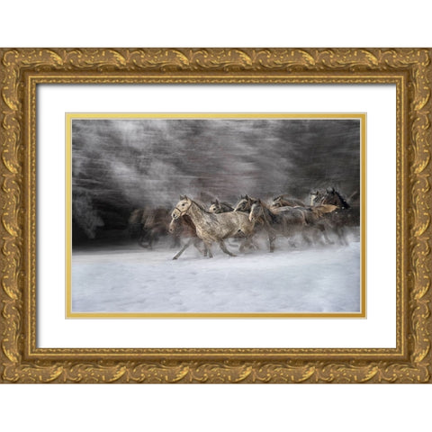 Winter joy Gold Ornate Wood Framed Art Print with Double Matting by Malovrh, Milan