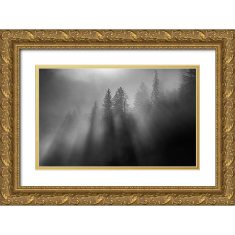 wintersun Gold Ornate Wood Framed Art Print with Double Matting by Dauer, Andy