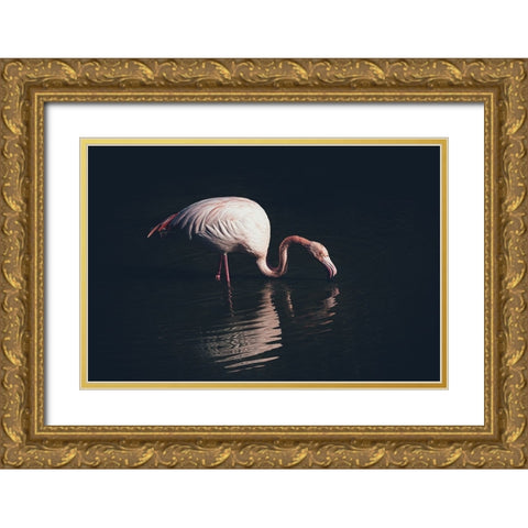 Enlighted Flamingo Gold Ornate Wood Framed Art Print with Double Matting by Tagliarino, Marco