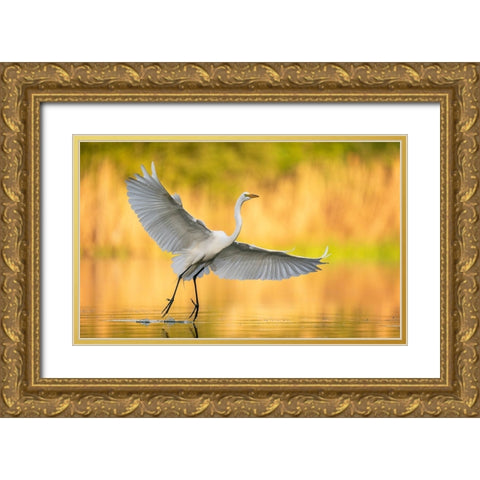 Cruising Around Gold Ornate Wood Framed Art Print with Double Matting by Schlaf, Christopher