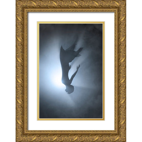 Falling Gold Ornate Wood Framed Art Print with Double Matting by F, Terry