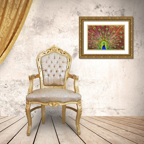Peacock Gold Ornate Wood Framed Art Print with Double Matting by Michael