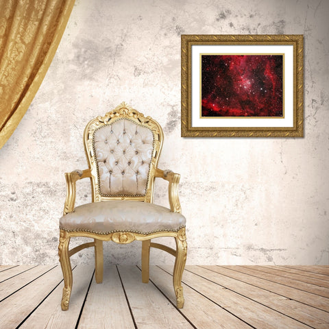 Heart Nebula Gold Ornate Wood Framed Art Print with Double Matting by Zhao, Henry