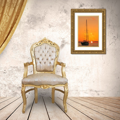Last Sunset Gold Ornate Wood Framed Art Print with Double Matting by Tudose, Adrian