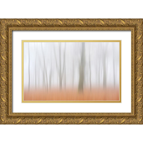 Misty Autumnimpression Gold Ornate Wood Framed Art Print with Double Matting by Limberg, Huib
