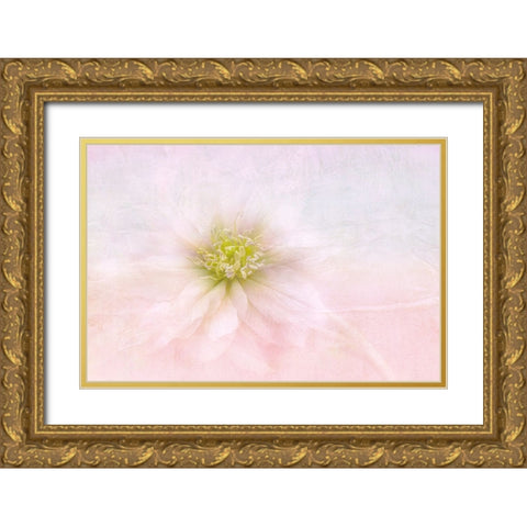 Over The Rainbow Gold Ornate Wood Framed Art Print with Double Matting by Parker, Jacky