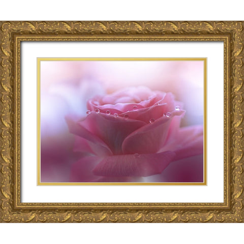 Will We Be Enough.. Gold Ornate Wood Framed Art Print with Double Matting by Nan, Juliana