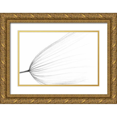 The Big Minimal Gold Ornate Wood Framed Art Print with Double Matting by Terravecchia, Rino