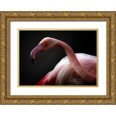 Flamingo Portrait Gold Ornate Wood Framed Art Print with Double Matting by Pascual Buye, Santiago