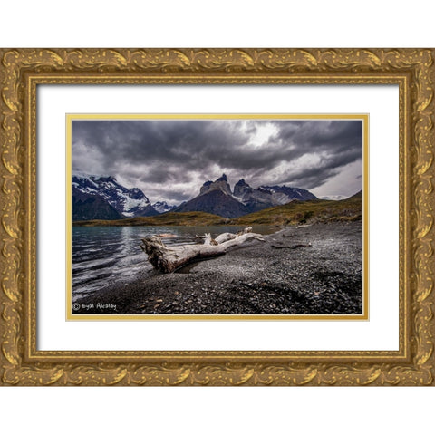Torres Del Pine Gold Ornate Wood Framed Art Print with Double Matting by Alcalay, Eyal