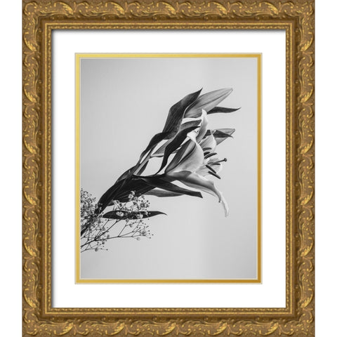 A Beautiful Flower Gold Ornate Wood Framed Art Print with Double Matting by Jo, Rahel