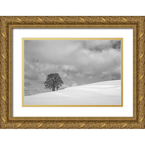 A cloudy winter day Gold Ornate Wood Framed Art Print with Double Matting by Peter Rank, Hans