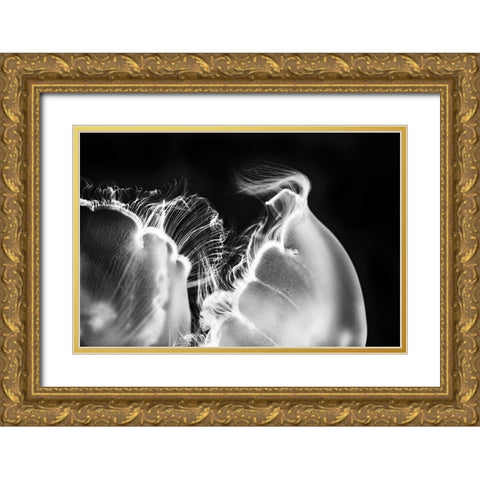 Untitled Gold Ornate Wood Framed Art Print with Double Matting by Berry, Jerry