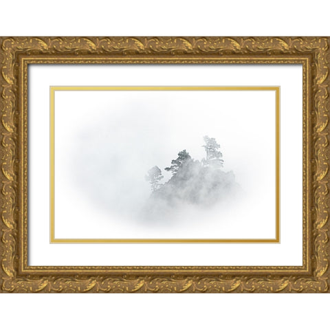 mystic Mountain Gold Ornate Wood Framed Art Print with Double Matting by Schmidtke, Holger