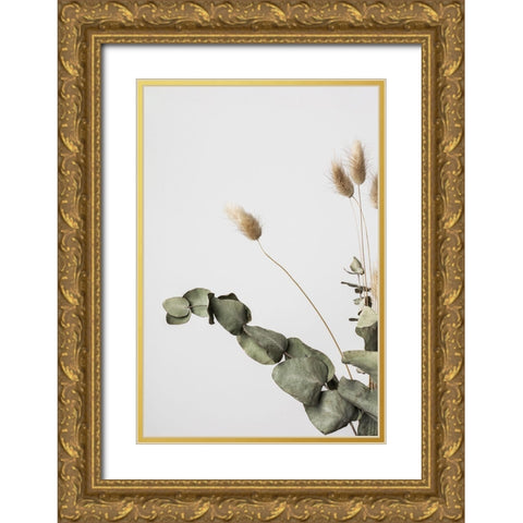 Dried_002 Gold Ornate Wood Framed Art Print with Double Matting by 1x Studio III
