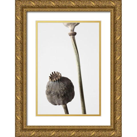 Dried_005 Gold Ornate Wood Framed Art Print with Double Matting by 1x Studio III
