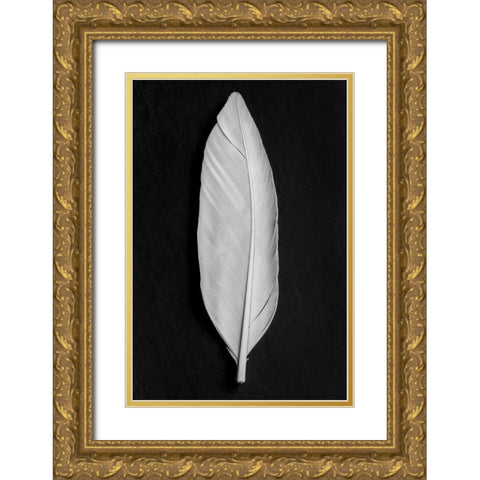 Feather_008 Gold Ornate Wood Framed Art Print with Double Matting by 1x Studio III
