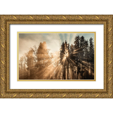 Fading away Gold Ornate Wood Framed Art Print with Double Matting by Eisenmann, Ulrike