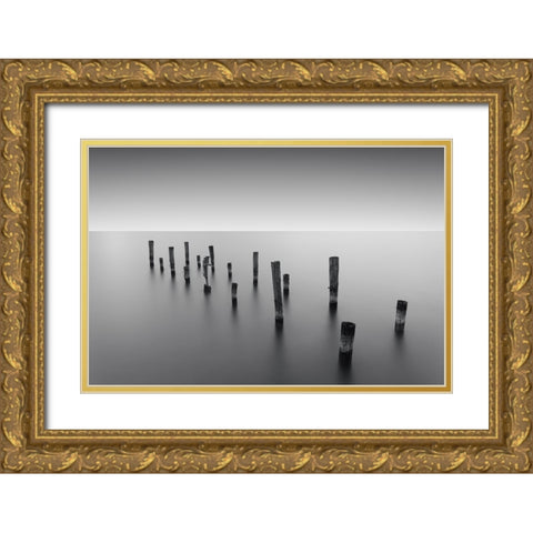 Invisible Links Gold Ornate Wood Framed Art Print with Double Matting by Massera, Dante