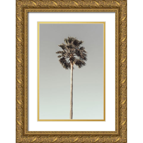 Palm_001 Gold Ornate Wood Framed Art Print with Double Matting by 1x Studio III