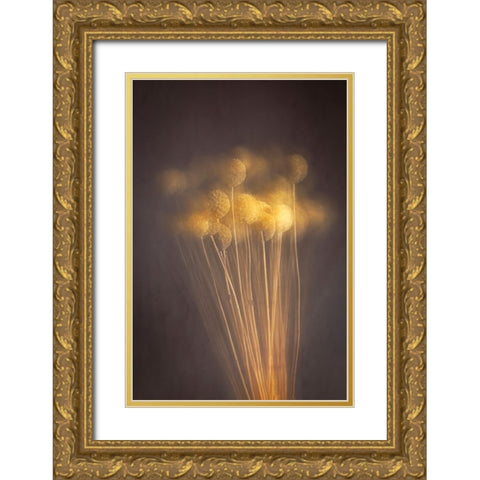 Curious Heads Gold Ornate Wood Framed Art Print with Double Matting by Kiral, Cicek