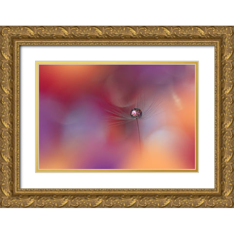 Echoes Of Hope.. Gold Ornate Wood Framed Art Print with Double Matting by Nan, Juliana