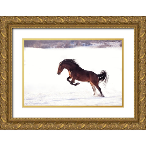 735W 2 Gold Ornate Wood Framed Art Print with Double Matting by Bogdan R, Mihai