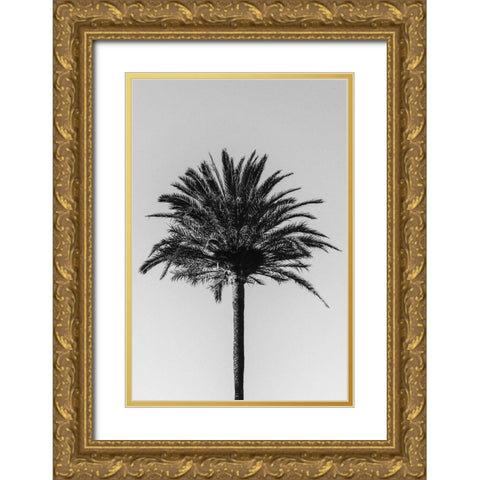 Palm_003 Gold Ornate Wood Framed Art Print with Double Matting by 1x Studio III
